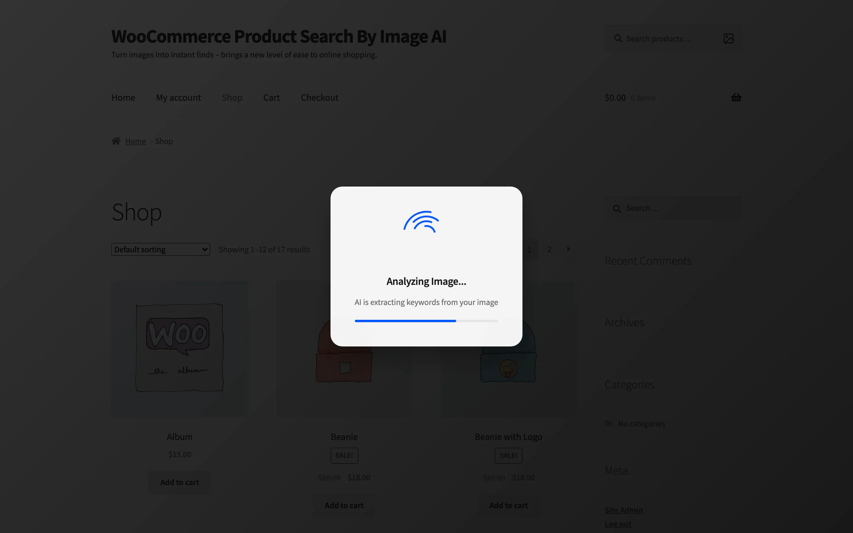 The Analyzing Image loader over the shop page