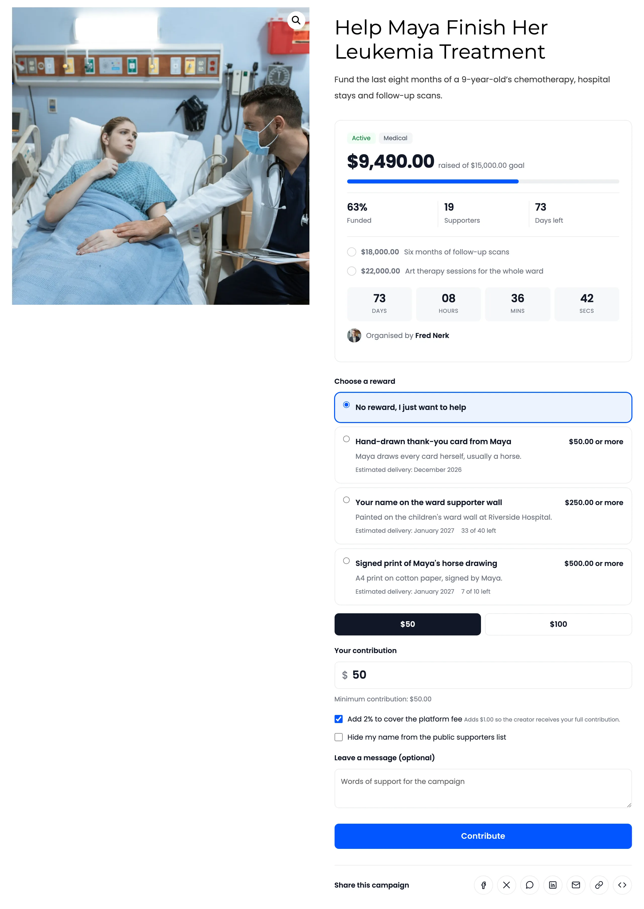 A campaign page with its progress card, reward tiers and contribution form