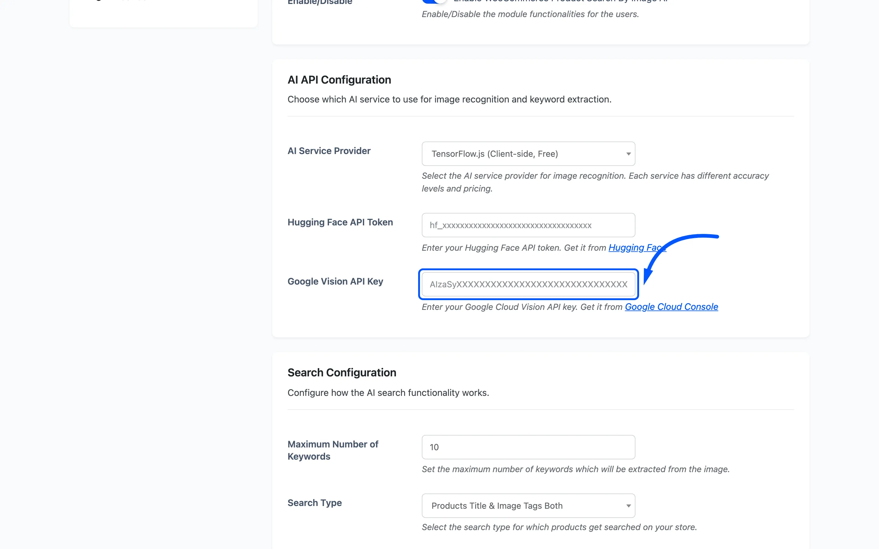 The Google Vision API Key field