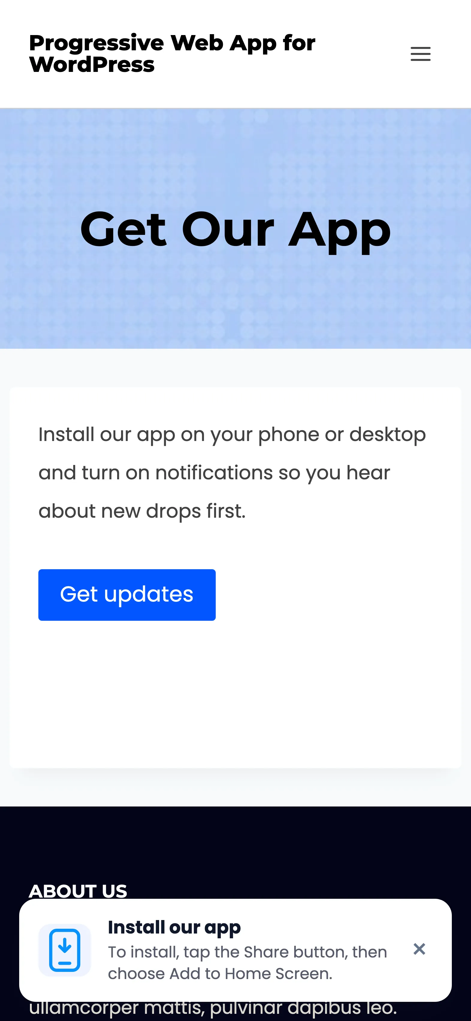 The install banner on an iPhone, showing the fixed Add to Home Screen wording and no button