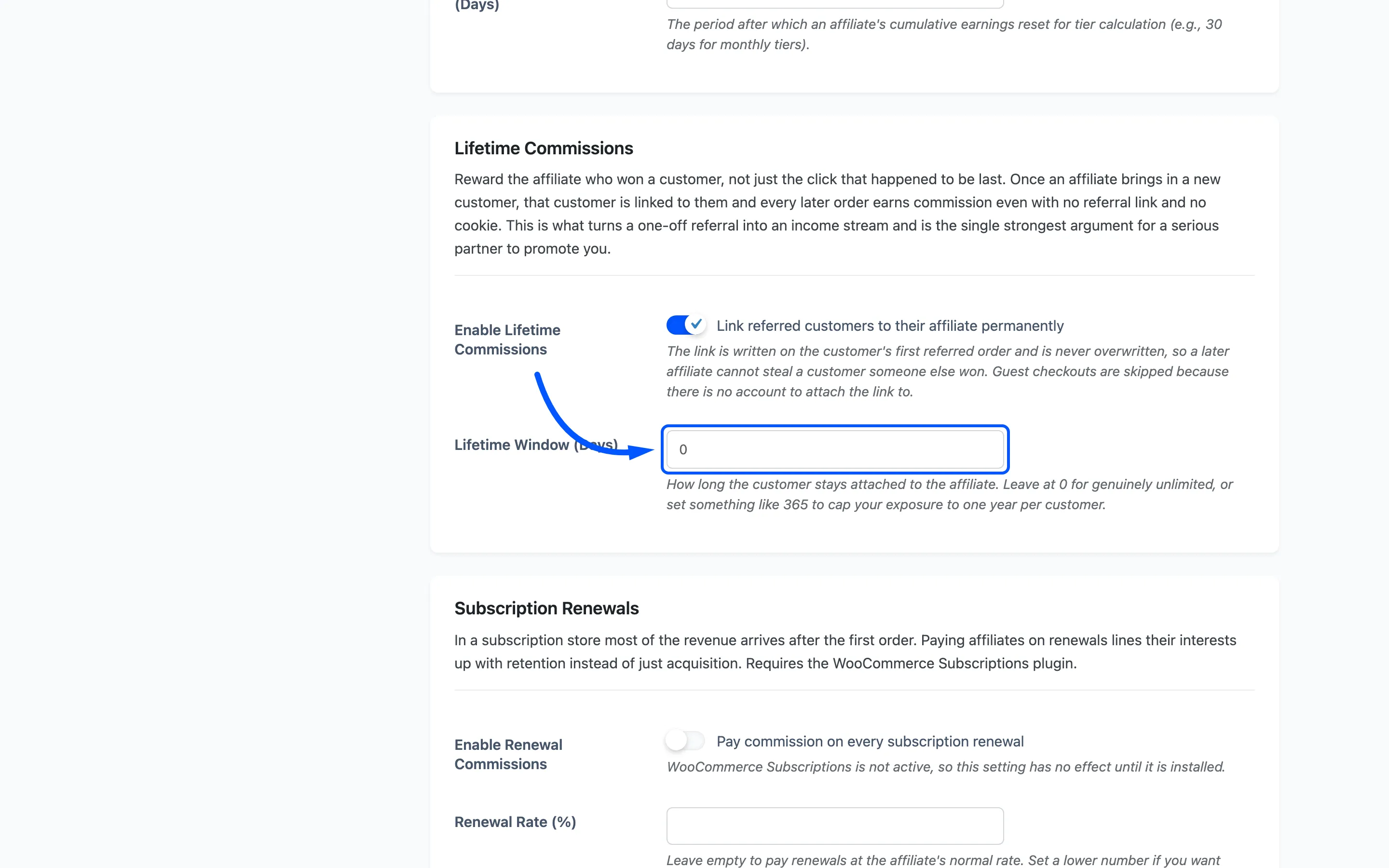 The Lifetime Window field highlighted