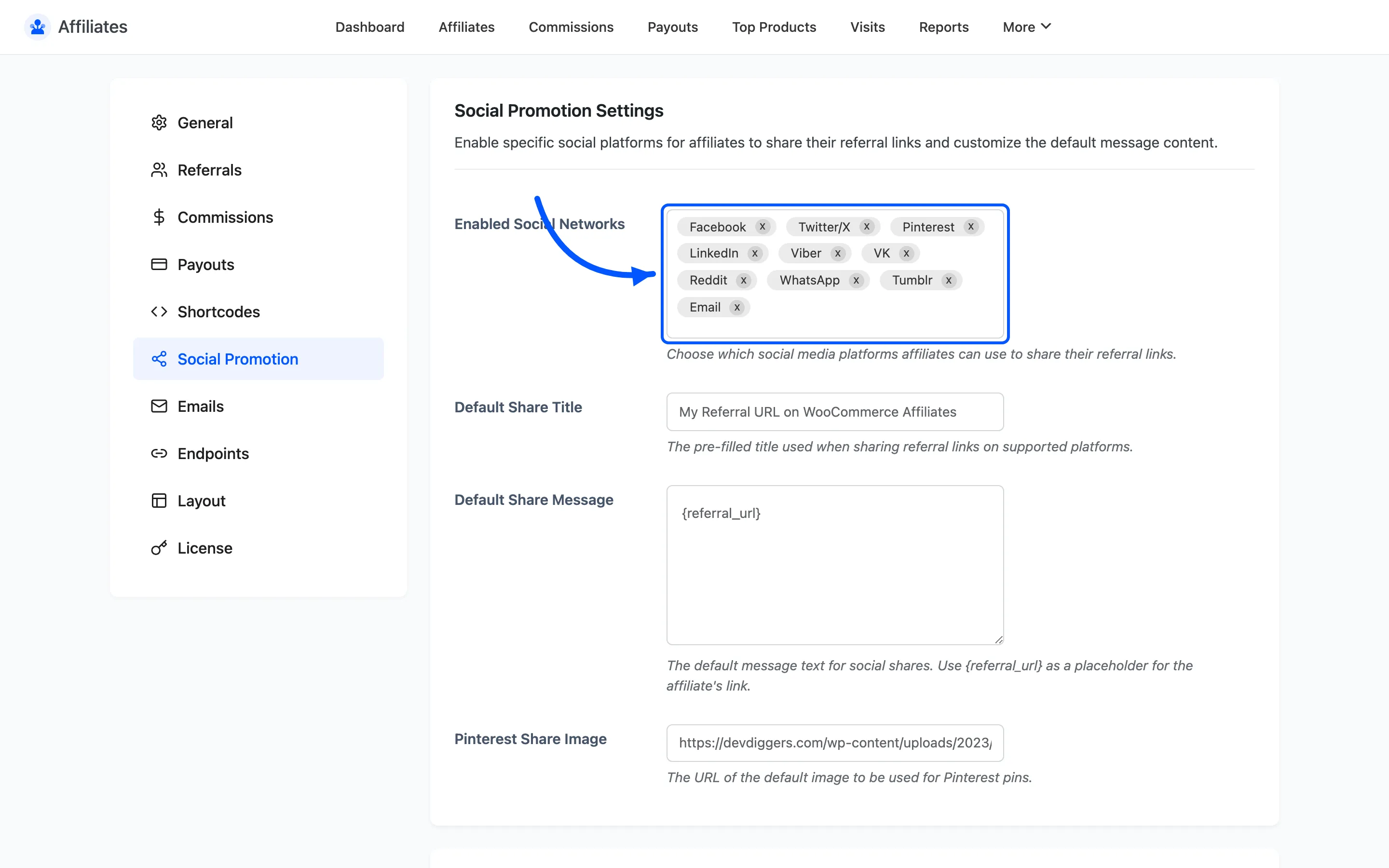 The Enabled Social Networks field on the Social Promotion settings tab
