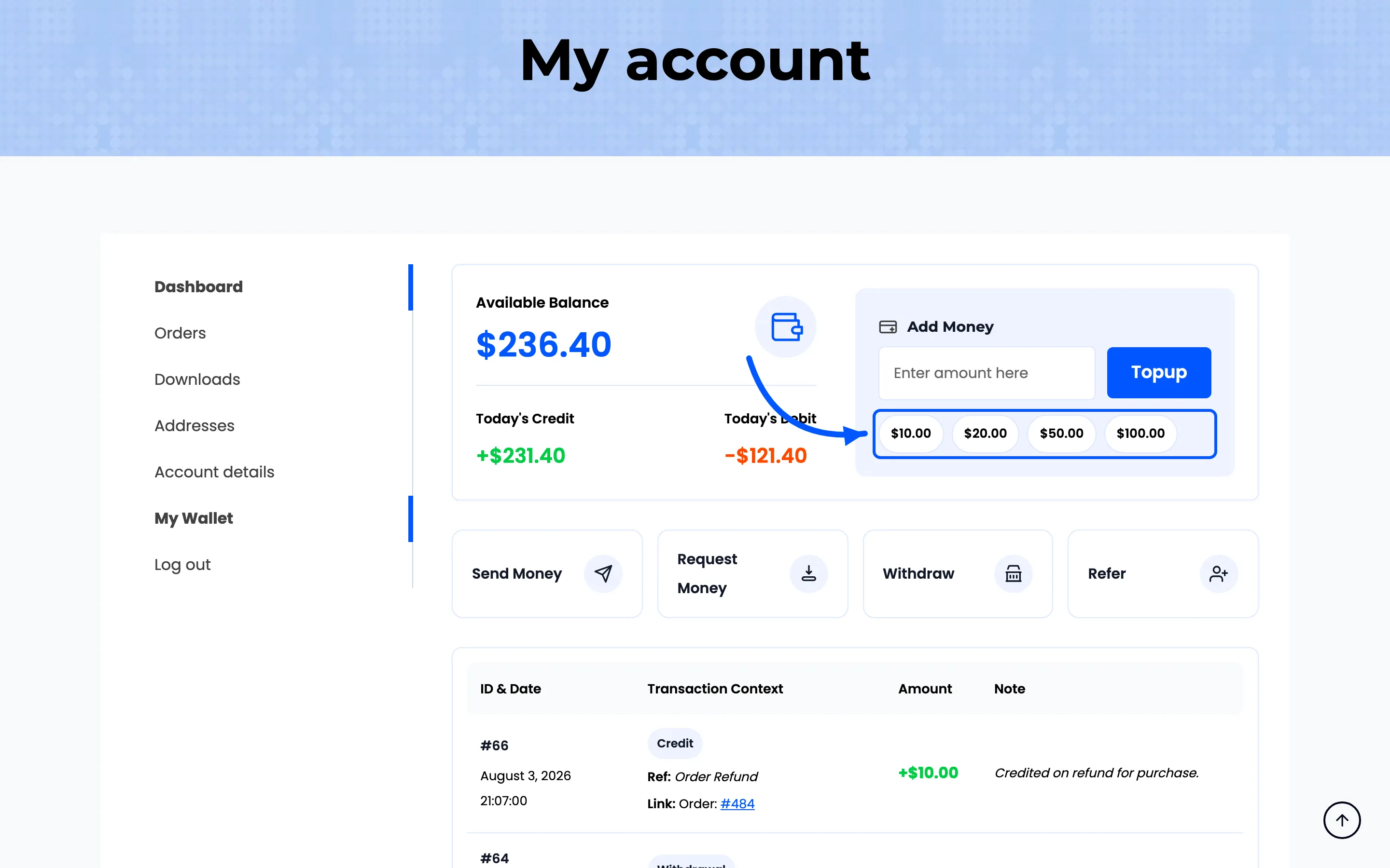 The preset amount buttons under the Add Money field