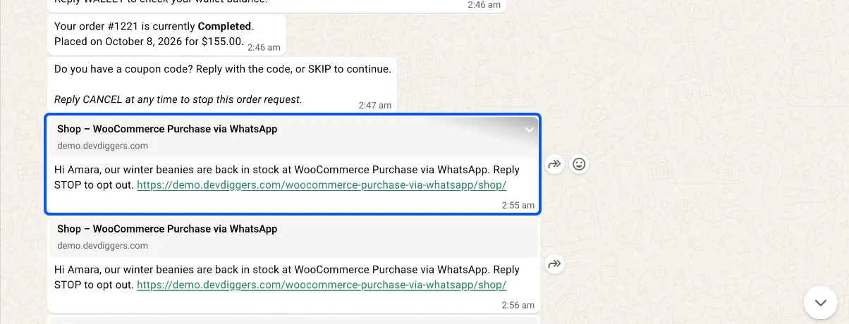 The broadcast as a customer receives it in WhatsApp