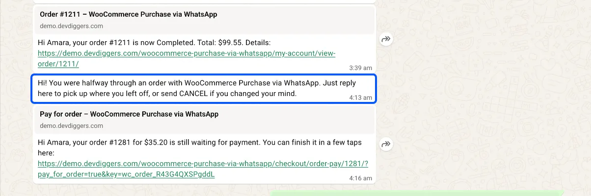 The chat reminder as the customer receives it
