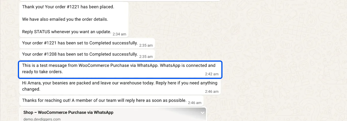 The test message as it arrives in WhatsApp